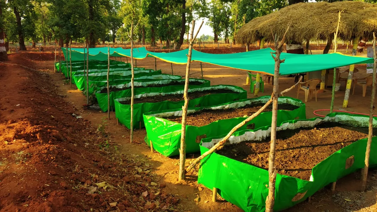 Multiple green HDPE vermi compost beds with overhead UV-stabilized tarpaulin shade, used for organic farming and waste management, made by trusted tarpaulin supplier in India
