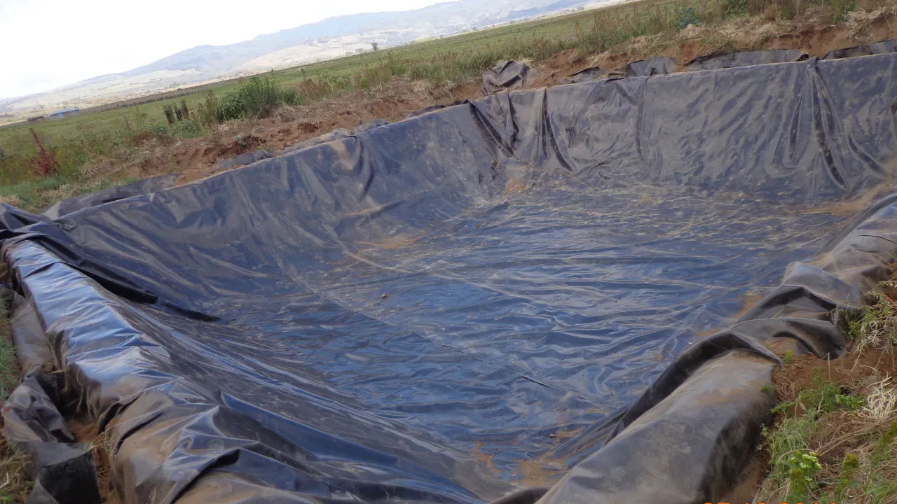 Large black HDPE pond liner installed in an agricultural field for water retention, manufactured by trusted tarpaulin supplier in India for fish farming, irrigation, and leak-proof water storage