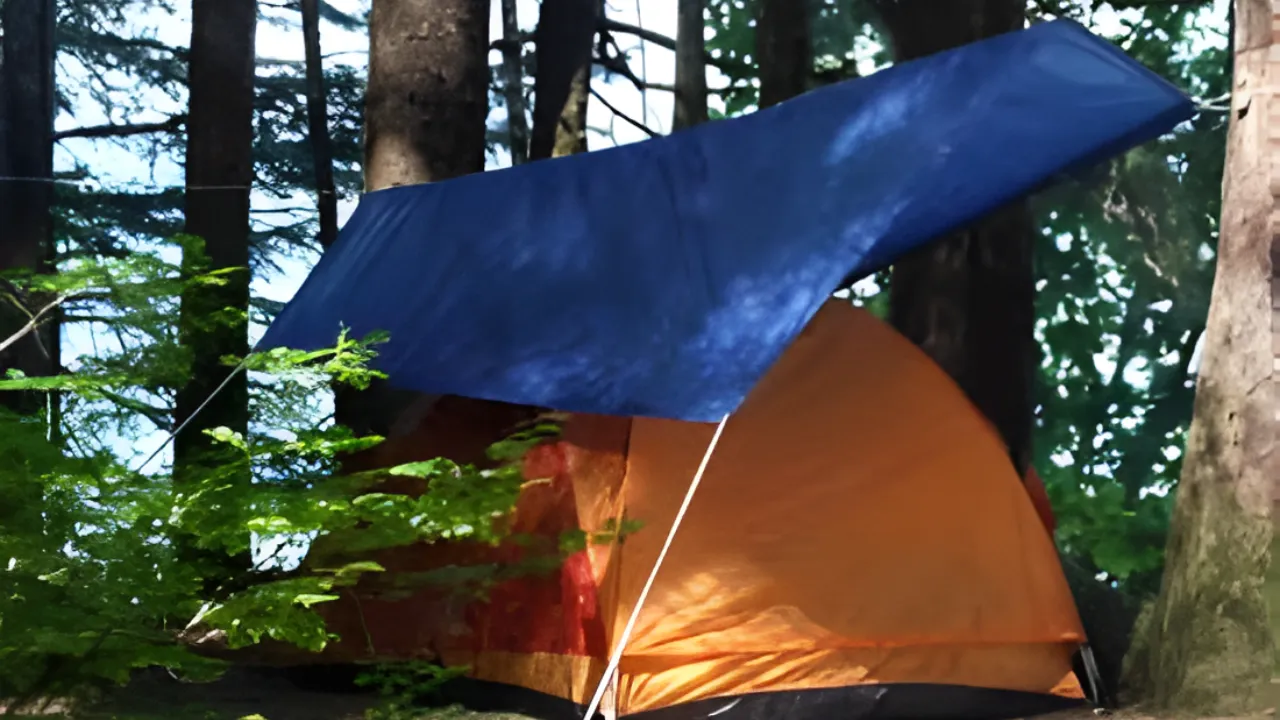 Blue tarpaulin used as a waterproof shelter over an orange camping tent in a forest, manufactured by trusted tarpaulin supplier in India for outdoor events and emergency shelter setups